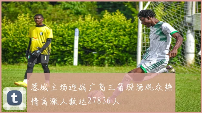 蓉城主场迎战广岛三箭现场观众热情高涨人数达27836人